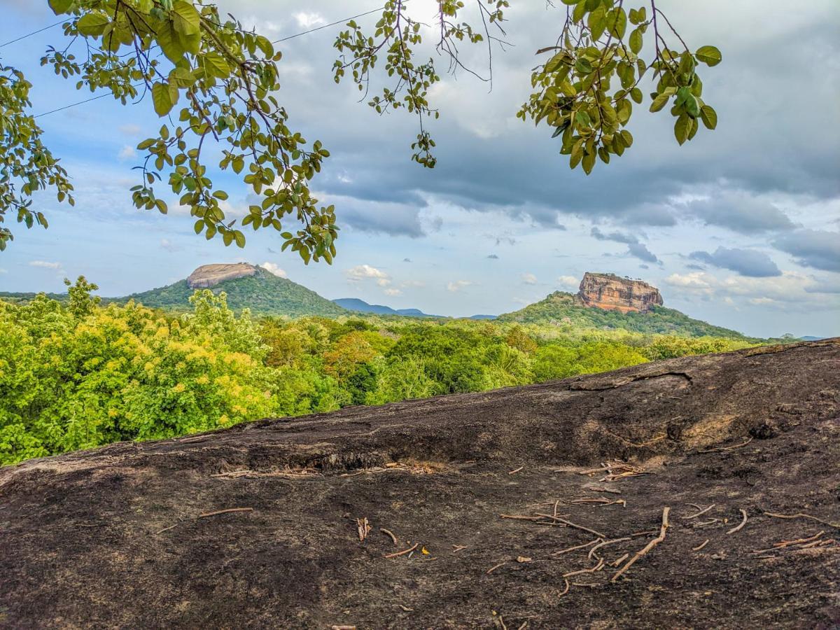 Sigiri Choona Lodge 'Unique Sunrise Viewpoint' سيغيرِيا المظهر الخارجي الصورة
